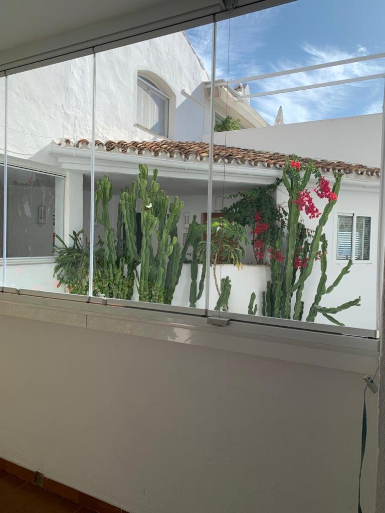 Apartment Charming In Puerto Banus