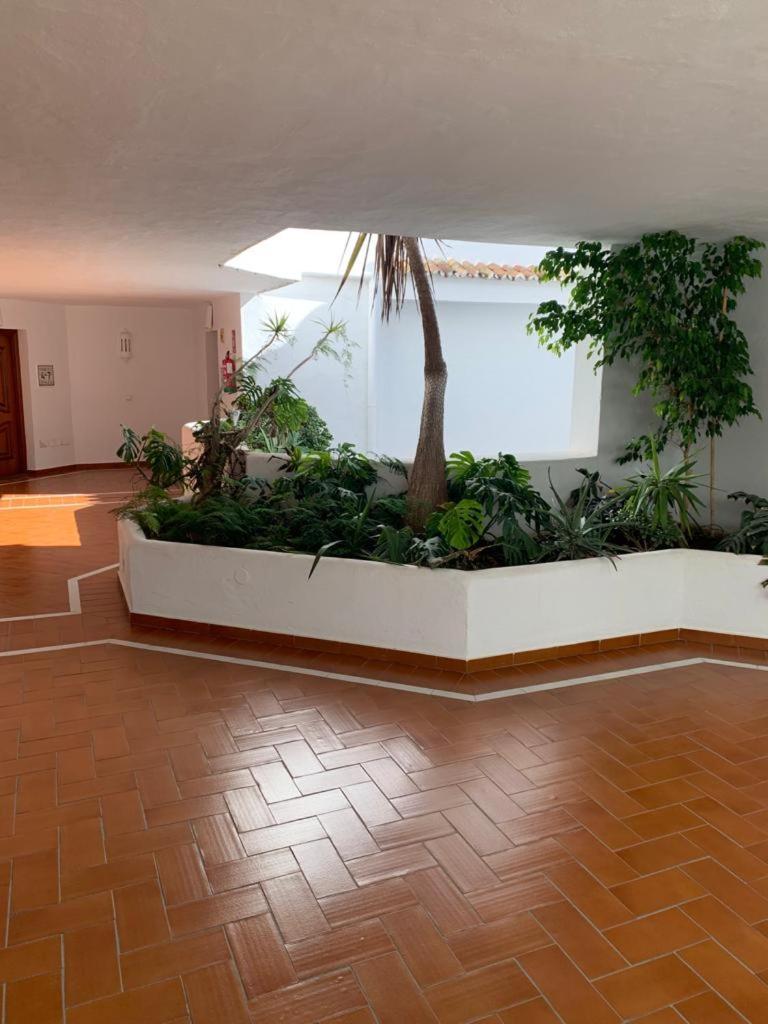 Apartment Charming In Puerto Banus *